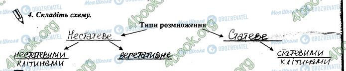 ГДЗ Біологія 6 клас сторінка 36.4